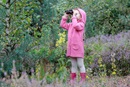 Go birding