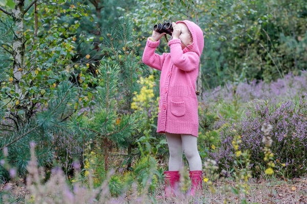 Go birding