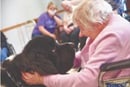 A Missouri couple takes it Newfoundland dogs to nursing homes as part of a canine ministry. Photo courtesy of Missouri Conference of The United Methodist Church.