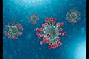 The world's population has been overwhelmed with the coronavirus and its related disease, COVID-19. 