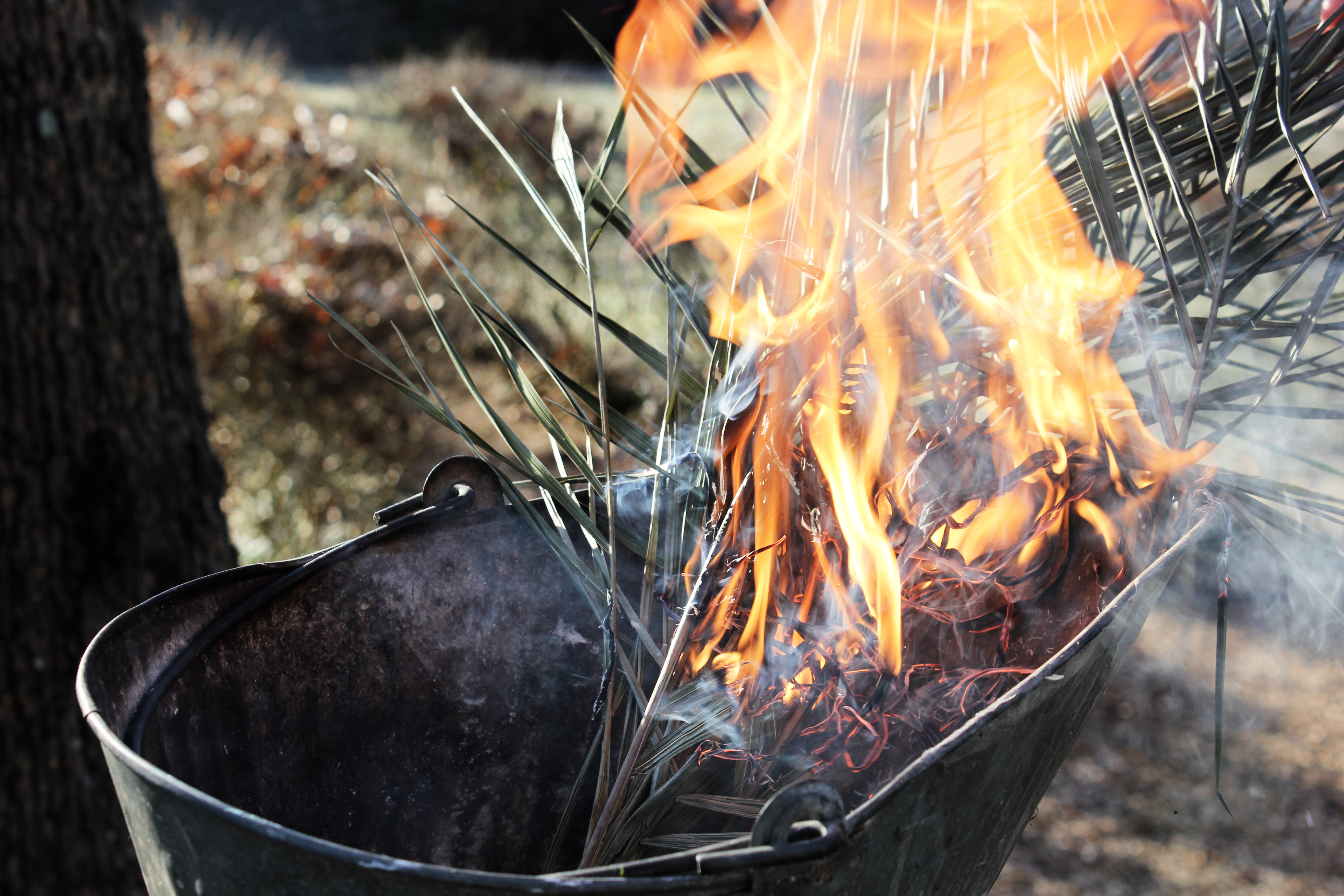 Dried palms being burned for Ash Wednesday ashes. 