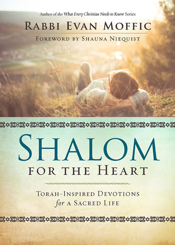 Shalom for the Heart: Torah-Inspired Devotions for a Sacred Life by Rabbi Evan Moffic 