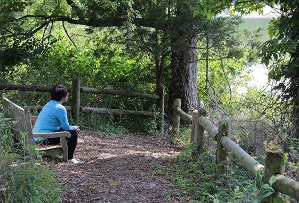 Not everyone travels the same path. Find yours. Photo illustration by Ronny Perry, United Methodist Communications.