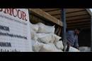 Man delivering food supplies for UMCOR.
