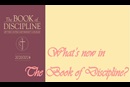 Graphic by Taylor W Burton Edwards based on The 2020/2024 Book of Discipline, Copyright 2024, United Methodist Publishing House. Used by permission.