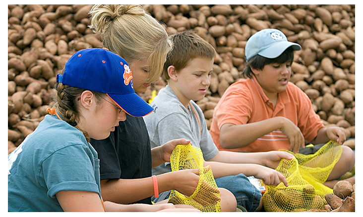 United Methodist youth bag sweet potatoes during a service project at Youth 2007 in Greensboro, N.C. From left are: Alexis Ward, Allison Kraft, Zach Wood and Connor Lewis of Messiah United Methodist Church in Springfield, Va. The hunger ministry, Society of St. Andrew, received 40,000 pounds of sweet potatoes that were packaged by volunteers and donated to area food banks.